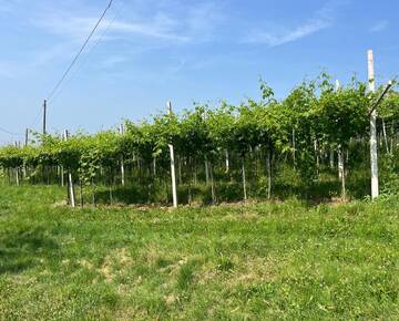 Casale Residenziali in vendita