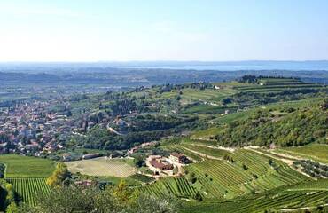 Casa Valpolicella agenzia immobiliare Negrar - Terreno Residenziale In vendita