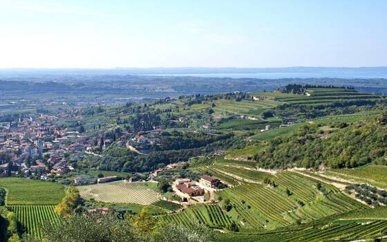 <Terreno Residenziale In vendita