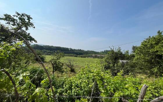 <Casale Residenziali in vendita